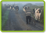 FBD Farm Insurance